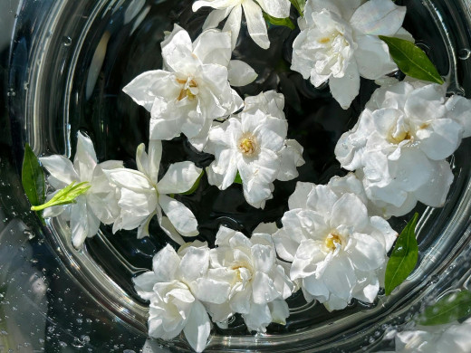 1757526 (a): :1920x1440